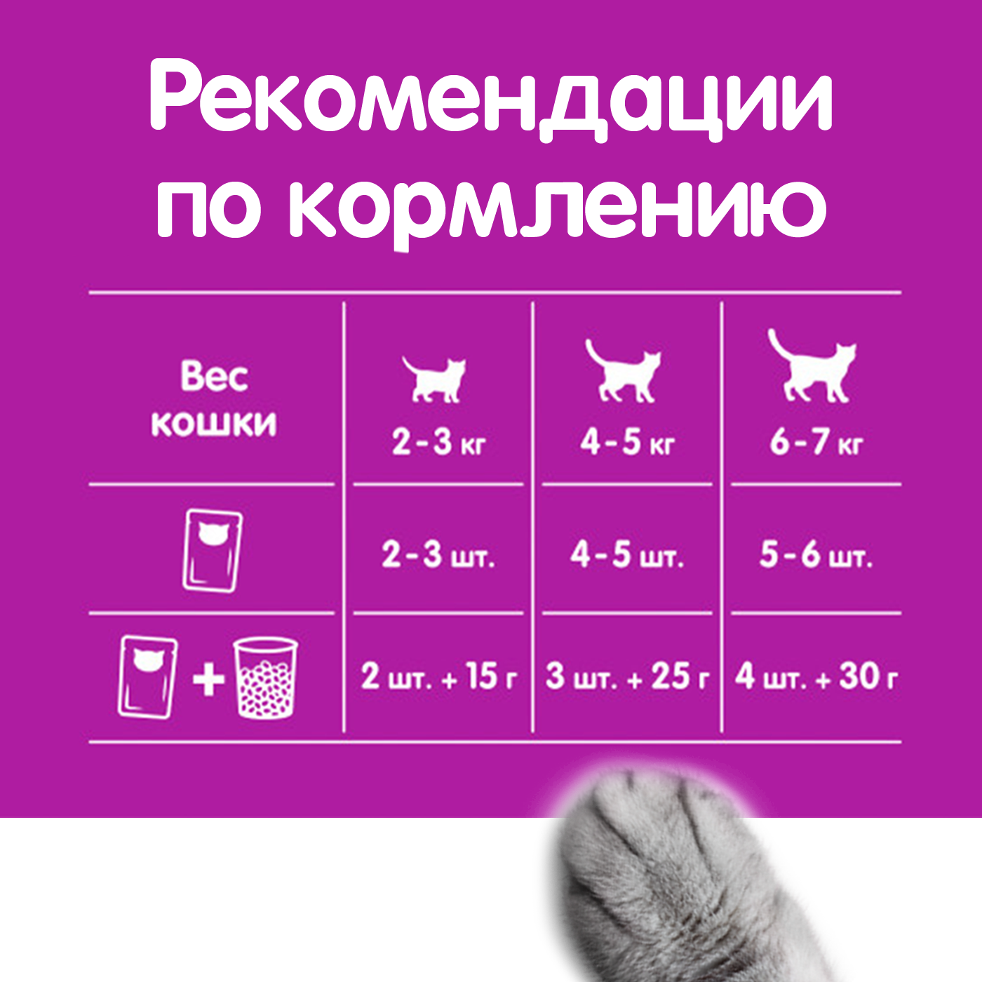 Влажный корм для котят от 1 до 12 месяцев WHISKAS рагу с ягненком, 75г